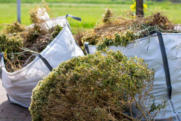 Best Construction Debris Removal  in Breese, IL