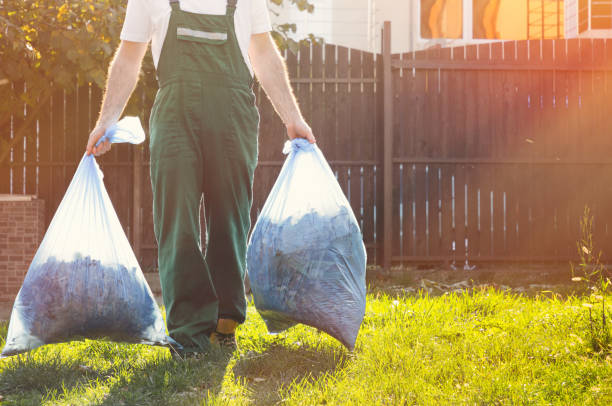 Best Dumpster Rental Services  in Breese, IL